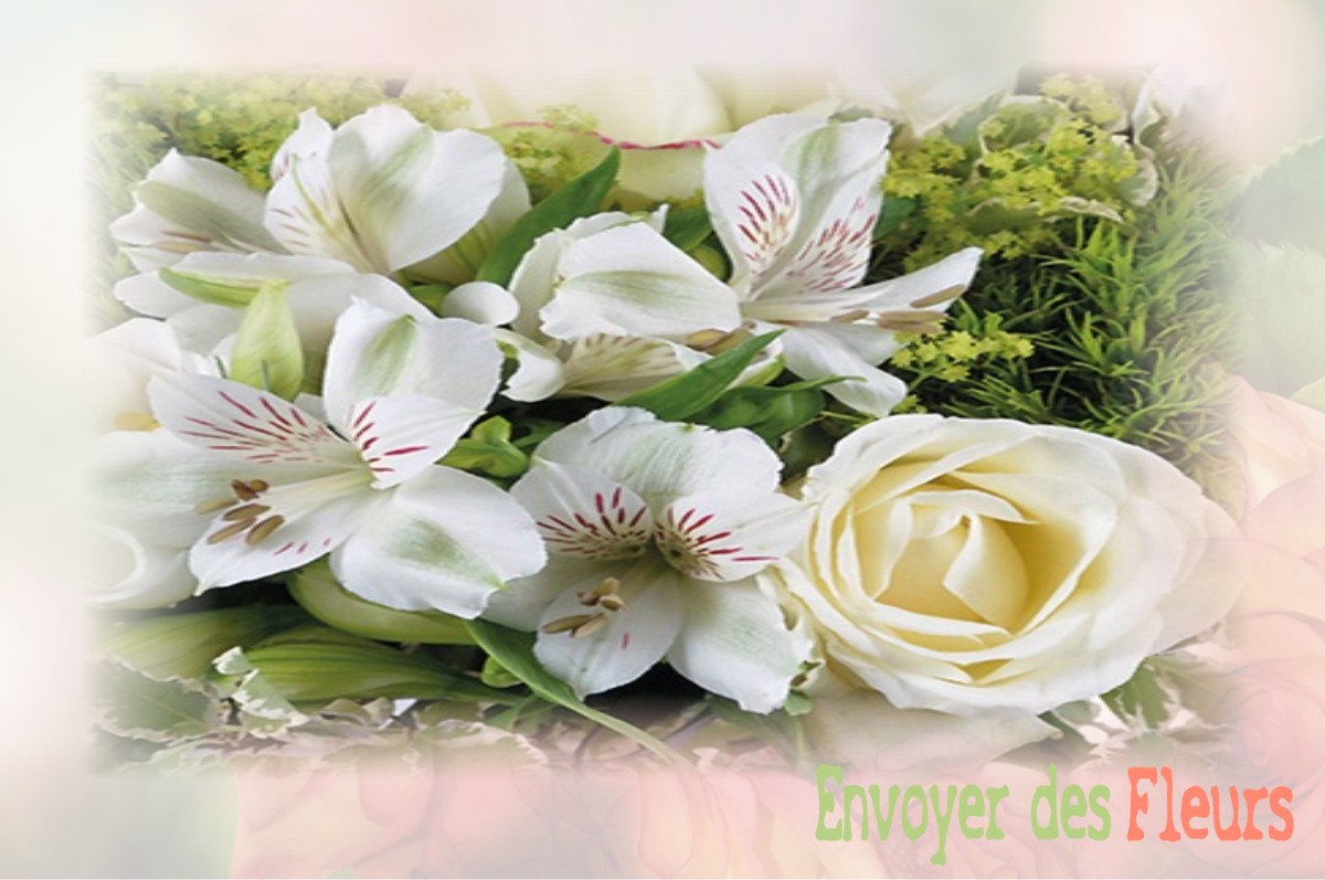 envoyer des fleurs à à SAINT-HILAIRE-DE-COURT